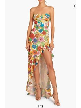 🌼 NWT Amanda Uprichard Eden Gown, Gorgeous Poppy Floral Hi-Lo Dress Sold Out!